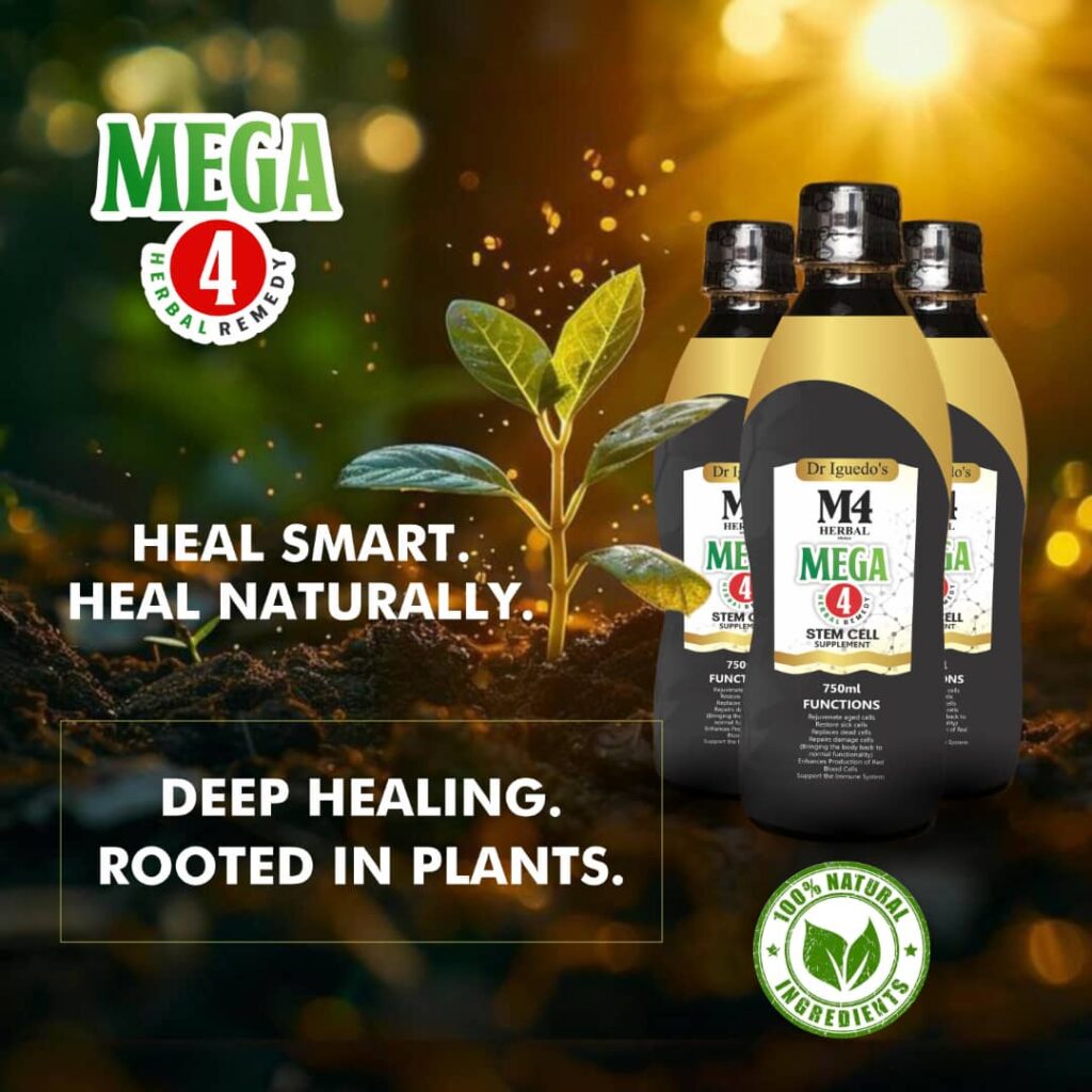 PNL MEGA4 DEEP HEALING