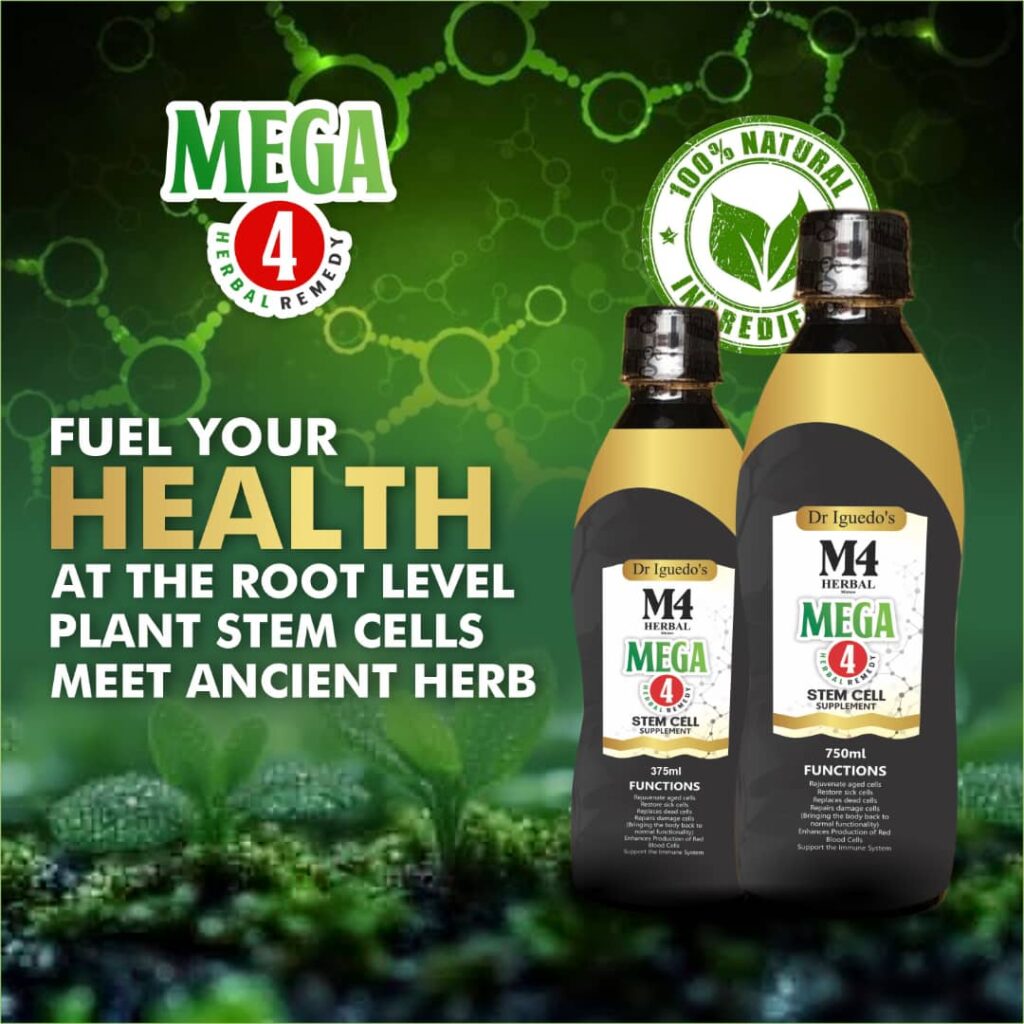PNL MEGA4 FUEL YOUR HEALTH